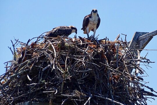Tour image 5